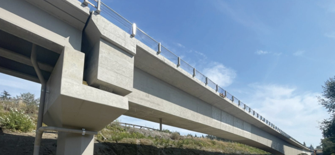 bridge with bearings and columns